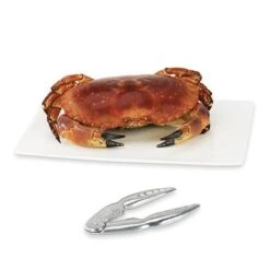 Alternative view of Pince à Crabe